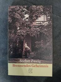 Brennendes Geheimnis