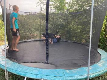 Trampolin (ohne Kinder und Hund) zu verschenken