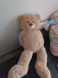 Grosser Teddy