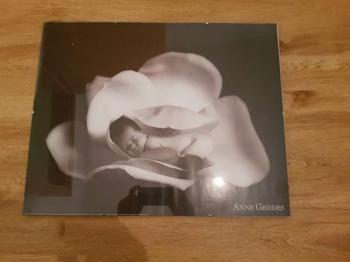 Poster hinter Glas Baby in Blüte