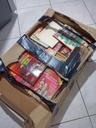 Karton voller Krimis