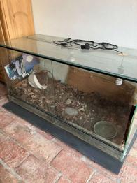 Terrarium zu verschenken