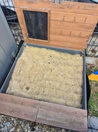 Sankiste Mandy zu verschenken