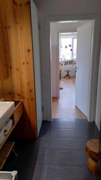 Schranktür Milchglas grün