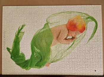 Puzzle Anne Geddes