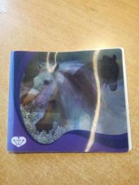 Album für Sammelkarten Pferde