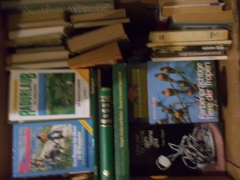 (reserviert) 4 Bananenschachteln mit verschiedenen Bücher