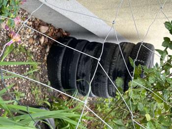 Autoreifen für gartendeko