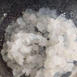 (reserviert) Wasserkefir