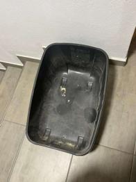 Katzenklo ohne Haube