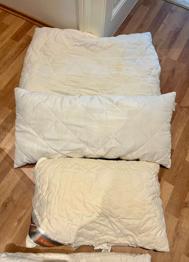 3x Kopfkissen und Decke