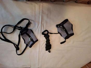 Ratten Softgeschirr mit Leine