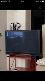 Panasonic Fernseher DEFEKT