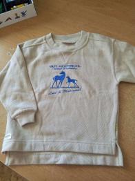 Sweatshirt vom gut aiderbichl gr. 104