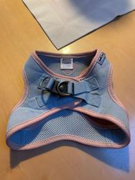 Hundegeschirr (Größe S)