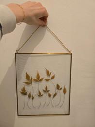 (reserviert) Bild mit getrockneten Pflanzen