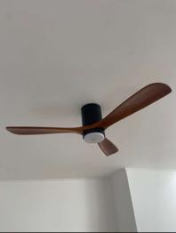 Deckenlampe samt Ventilator - für Bastler