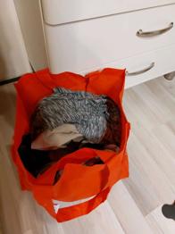 (reserviert) Damen gewand gr 38/40