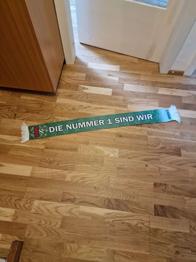 (reserviert) Rapidschal