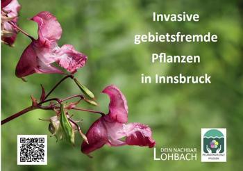 Folder - Hosentaschenformat Thema 