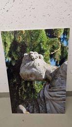 Engelbilder auf Schaumstoffplatten (60 X 90 cm)