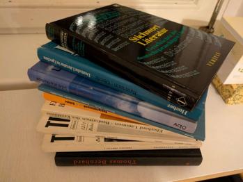 Literatur Lexika, Sachbücher Germanistik