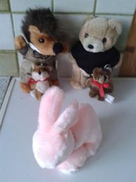 Verschenke einige Plüschtiere.