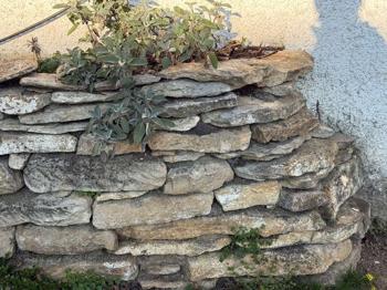 Steine flach für Beete zu verschenken