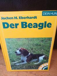Der Beagle