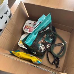 Hunde Futter und Leine zu verschenken