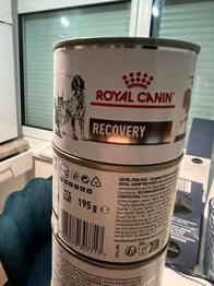 Recovery Katzenfutter