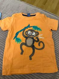Shirts Kinder