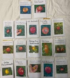 Tomatensamen und Kräuter