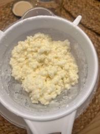 Milchkefir-Knollen - 10 g / 20 g
