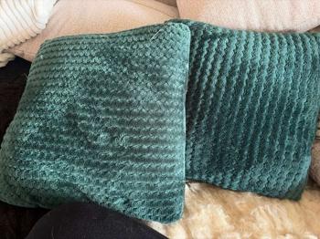 (reserviert) 2x grüne Zierkissen