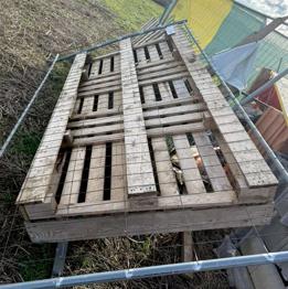 Holzkiste bzw. Palette großformatig