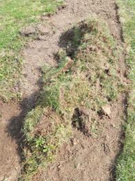 Mutterboden Rasensoden