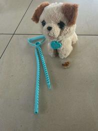 Hund zum füttern und spazieren gehen