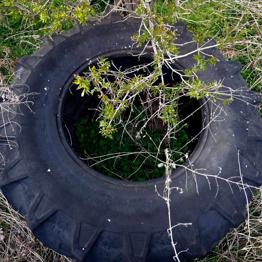 Traktor Reifen 710/70 R 38