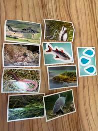 Billa Sticker - 2 Packungen