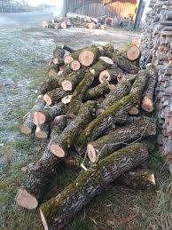 (RESERVIERT für Harald - Bitte keine Anfragen mehr!) 2-3 Raummeter Brennholz Obstbaum ungeschnitten (ganze Stämme)