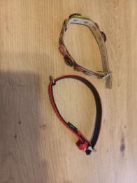 2 × Hundehalsband für kleine Hunde
