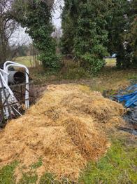 Enten- & Kaninchenmist als super Dünger zu verschenken