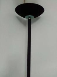 Parsam Humainty is first