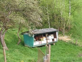 Bienenhütte