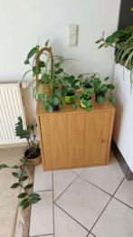 Holzkasterl zu verschenken