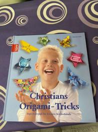 Buch Origamitricks