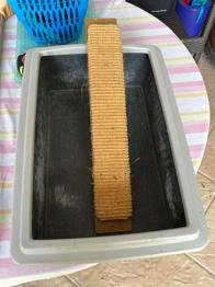 Katzenklo + Kratzbrett