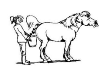 Pferdemist zu verschenken