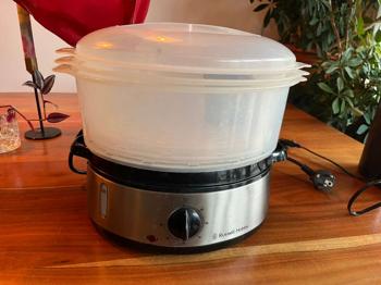 Russlw Hobbs Dampfgarer